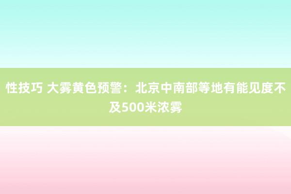 性技巧 大雾黄色预警：北京中南部等地有能见度不及500米浓雾