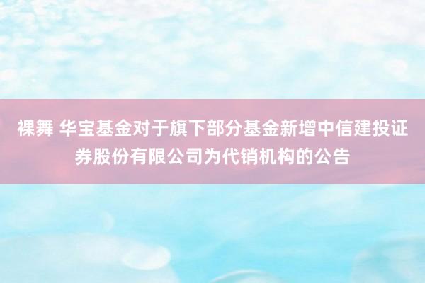 裸舞 华宝基金对于旗下部分基金新增中信建投证券股份有限公司为代销机构的公告