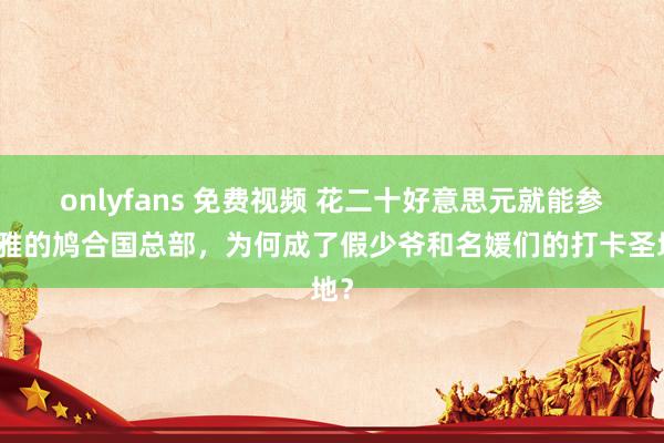 onlyfans 免费视频 花二十好意思元就能参不雅的鸠合国总部，为何成了假少爷和名媛们的打卡圣地？