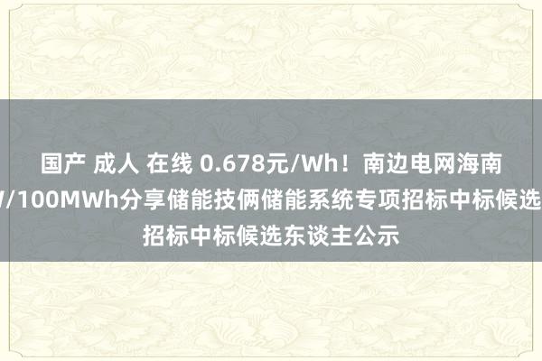 国产 成人 在线 0.678元/Wh！南边电网海南定安50MW/100MWh分享储能技俩储能系统专项招标中标候选东谈主公示