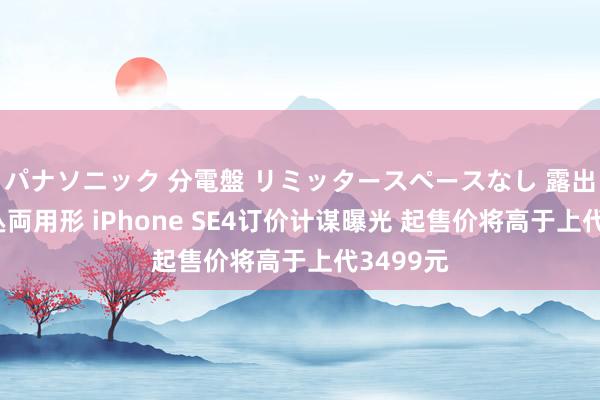 パナソニック 分電盤 リミッタースペースなし 露出・半埋込両用形 iPhone SE4订价计谋曝光 起售价将高于上代3499元