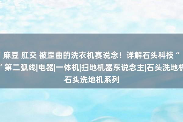 麻豆 肛交 被歪曲的洗衣机赛说念！详解石头科技“另类”第二弧线|电器|一体机|扫地机器东说念主|石头洗地机系列