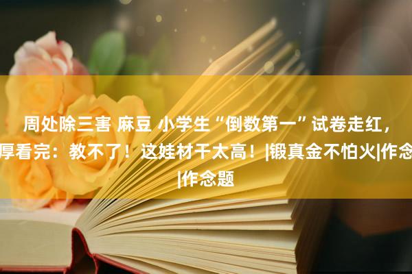 周处除三害 麻豆 小学生“倒数第一”试卷走红，憨厚看完：教不了！这娃材干太高！|锻真金不怕火|作念题