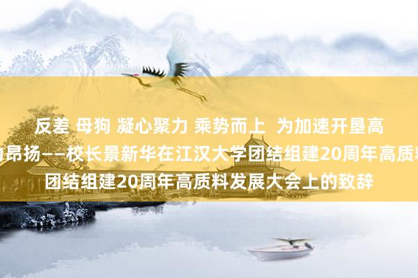 反差 母狗 凝心聚力 乘势而上  为加速开垦高水平城市大学而努力昂扬——校长景新华在江汉大学团结组建20周年高质料发展大会上的致辞