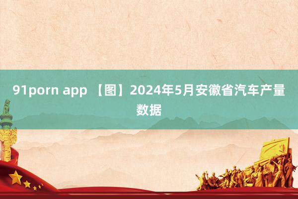 91porn app 【图】2024年5月安徽省汽车产量数据