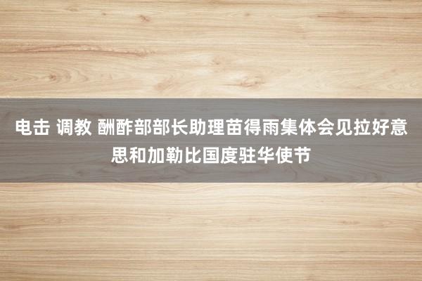 电击 调教 酬酢部部长助理苗得雨集体会见拉好意思和加勒比国度驻华使节