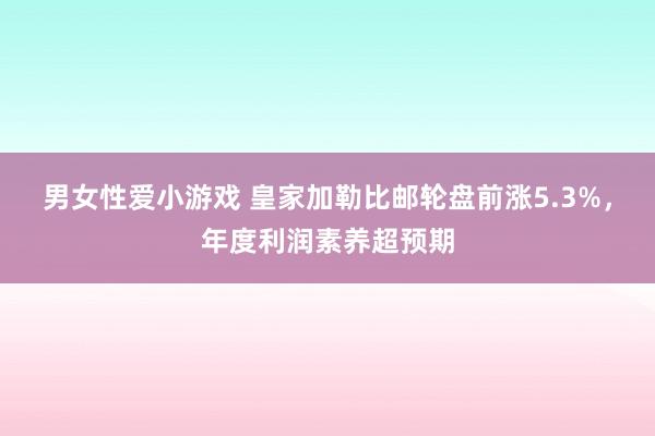 男女性爱小游戏 皇家加勒比邮轮盘前涨5.3%，年度利润素养超预期