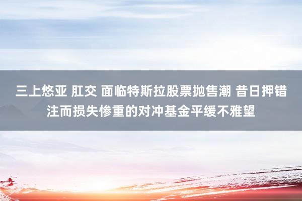 三上悠亚 肛交 面临特斯拉股票抛售潮 昔日押错注而损失惨重的对冲基金平缓不雅望