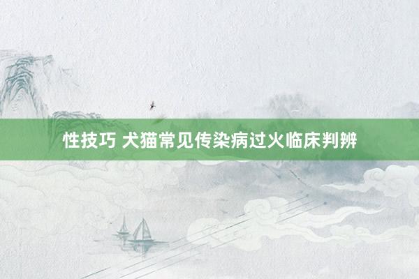 性技巧 犬猫常见传染病过火临床判辨