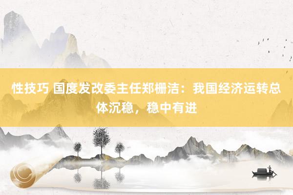 性技巧 国度发改委主任郑栅洁：我国经济运转总体沉稳，稳中有进