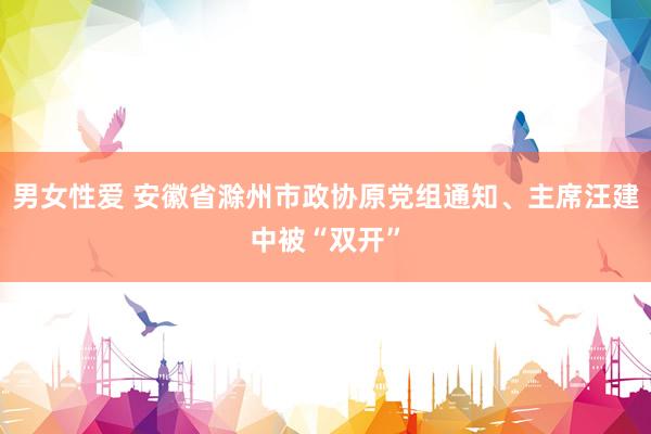 男女性爱 安徽省滁州市政协原党组通知、主席汪建中被“双开”