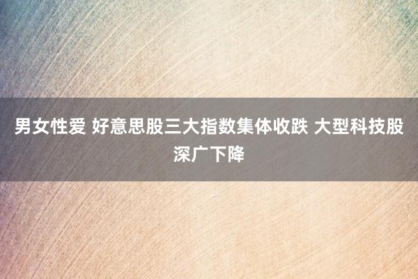 男女性爱 好意思股三大指数集体收跌 大型科技股深广下降