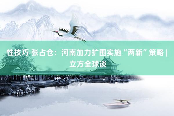 性技巧 张占仓：河南加力扩围实施“两新”策略 | 立方全球谈