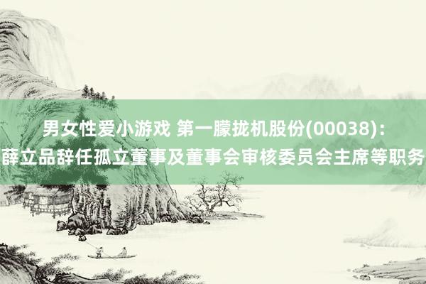 男女性爱小游戏 第一朦拢机股份(00038)：薛立品辞任孤立董事及董事会审核委员会主席等职务
