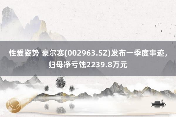 性爱姿势 豪尔赛(002963.SZ)发布一季度事迹，归母净亏蚀2239.8万元